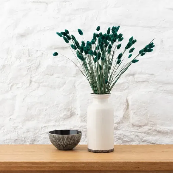 Dried Phalaris Bouquet - Teal