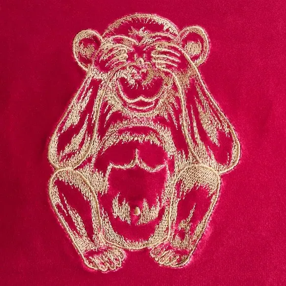 Embroidered Cushion with Fringe - Fuchsia, Velvet