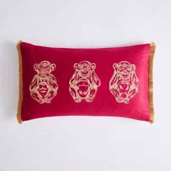 Embroidered Cushion with Fringe - Fuchsia, Velvet image
