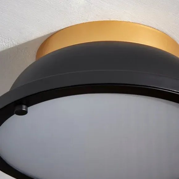 Flush Ceiling Light Dimmable - Black, Steel