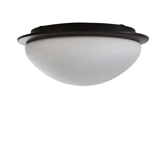 Flush Ceiling Light Dimmable - Matt Black