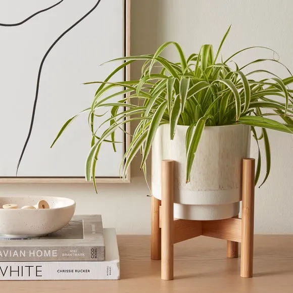 Foldable Plant Stand - Natural, Bamboo image