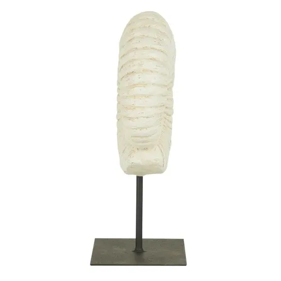 Fossil Shell Ornament on Stand - Natural, Resin