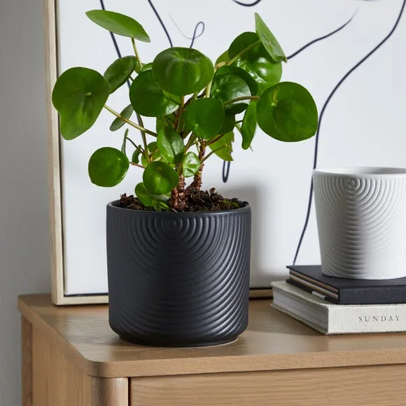 Geometric Plant Pot with Pattern - Black, Ceramic
