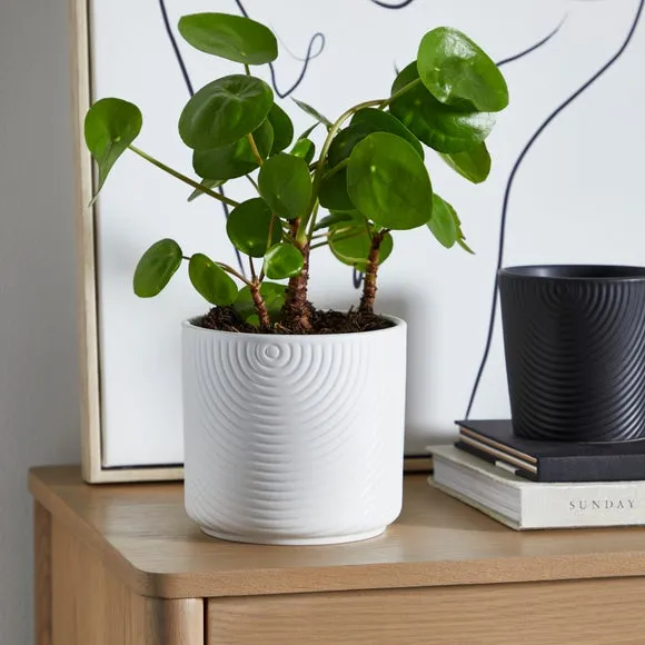 Geometric Plant Pot with Pattern - White, Ceramic