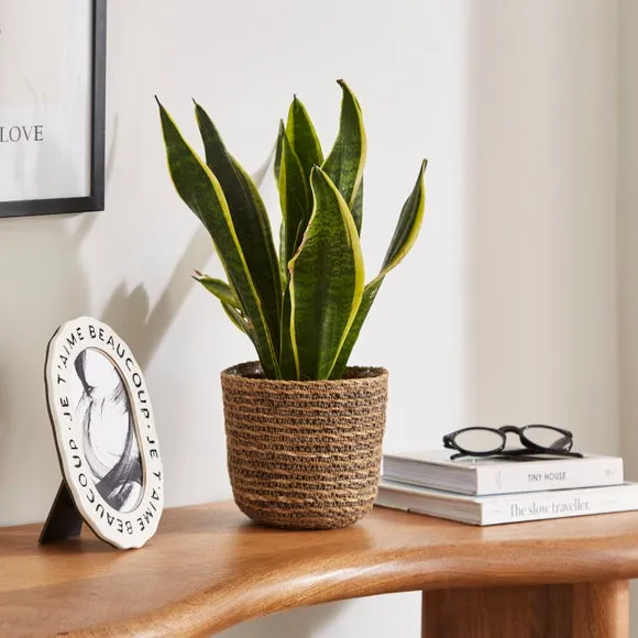 Hand Woven Plant Pot - Brown, Seagrass image