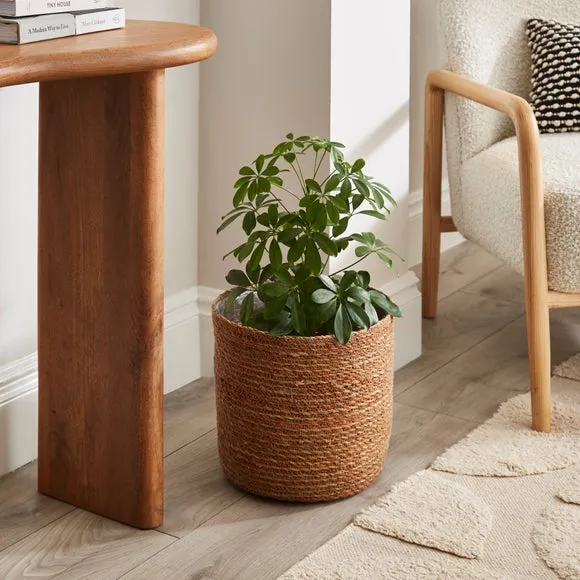 Hand Woven Plant Pot - Orange, Seagrass