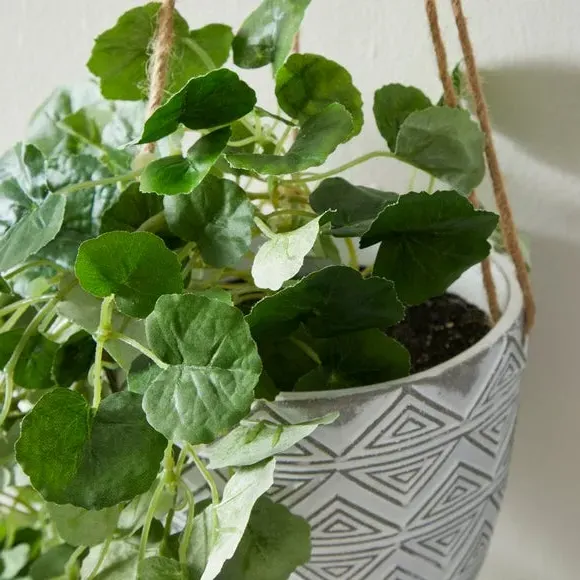 Hanging Artificial Plant - Grey, Geometric Pot