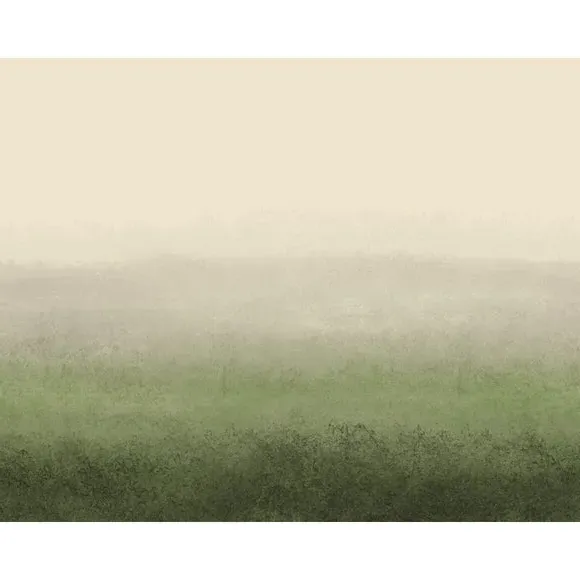 Large Scale Wall Mural Ombre - Green