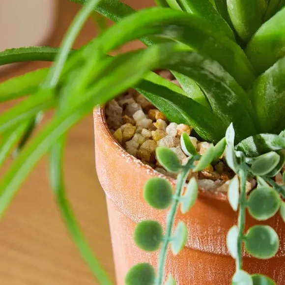 Mixed Artificial Plant with Trailing - Green