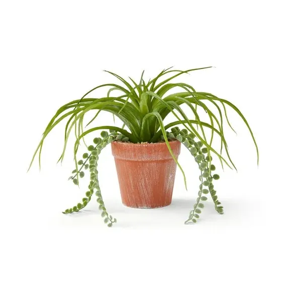 Mixed Artificial Plant with Trailing - Green