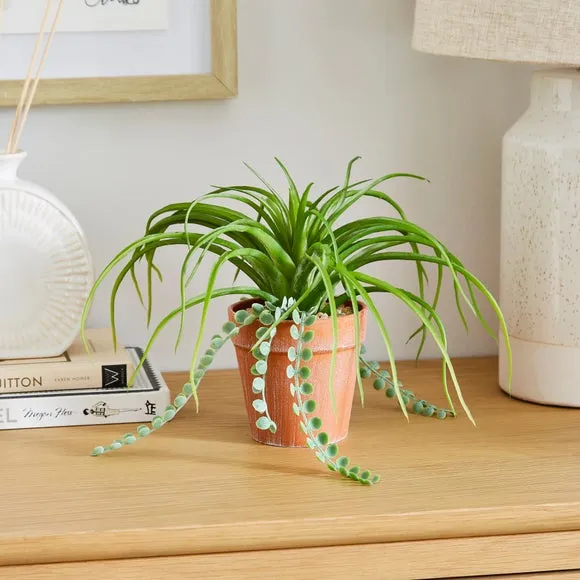 Mixed Artificial Plant with Trailing - Green image