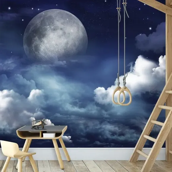 Night Sky Wall Mural - Blue image