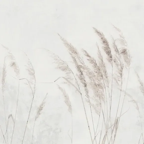 Pampas Grass Wall Mural - Grey, Non-Woven