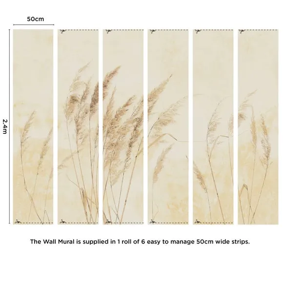 Pampas Grass Wall Mural - Natural, Non-Woven
