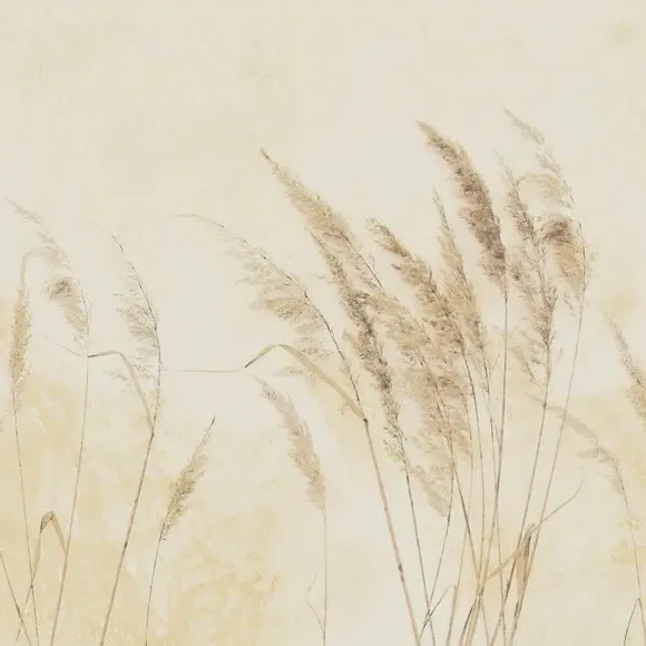 Pampas Grass Wall Mural - Natural, Non-Woven