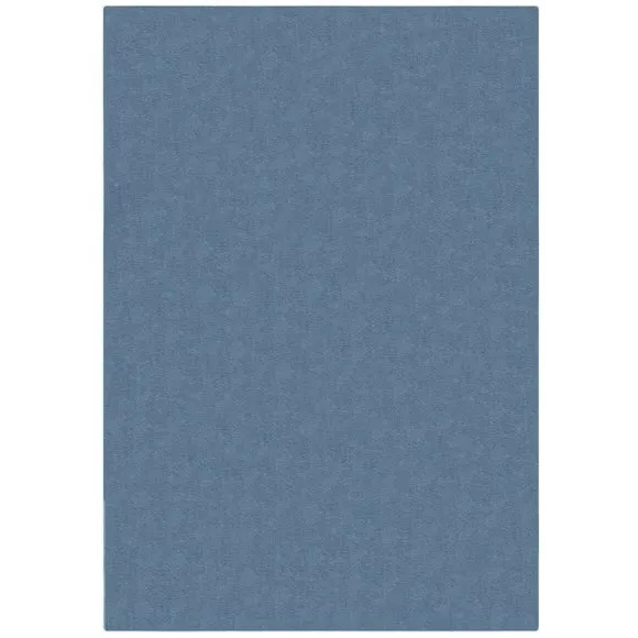 Plush Area Rug - Ashley Blue, Polyester