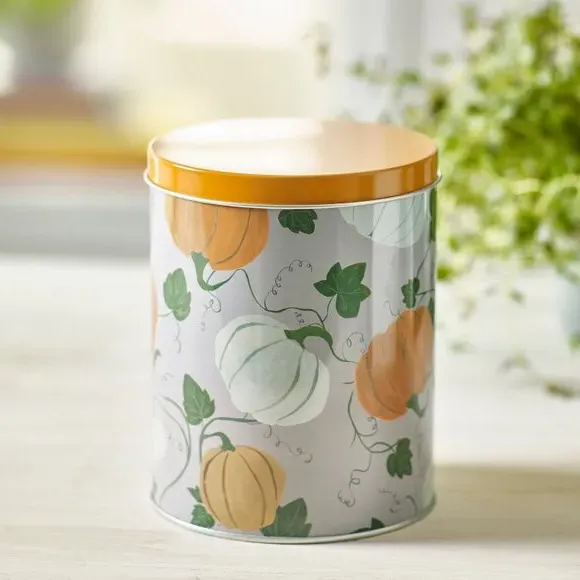Pumpkin Print Storage Canister - Orange image