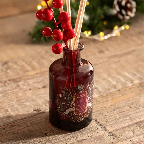 Reed Diffuser with Berry Stem - Red, Glass