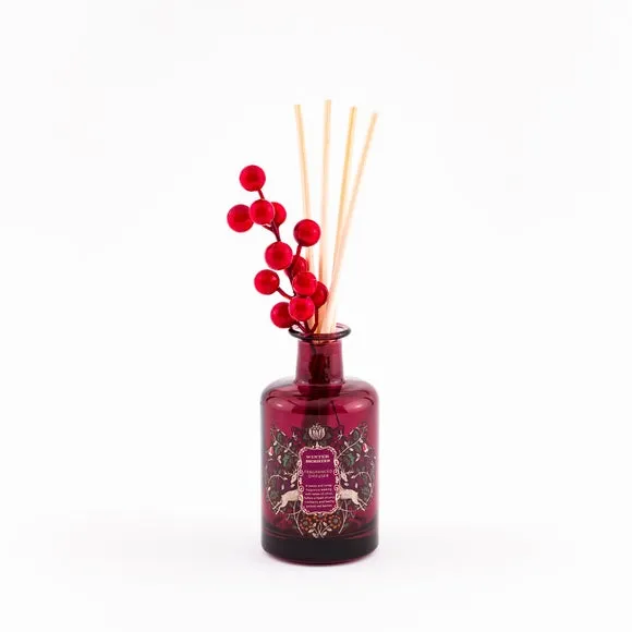 Reed Diffuser with Berry Stem - Red, Glass