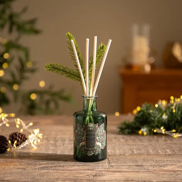 Reed Diffuser with Fir Sprig - Green, Glass image