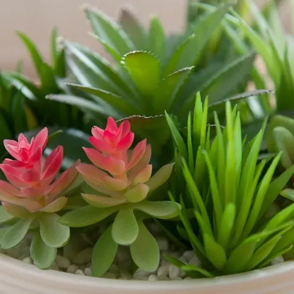 Round Artificial Succulent Plant - Green, Ceramic