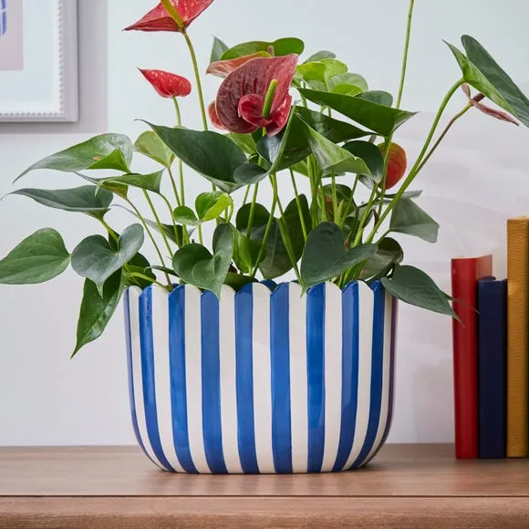 Scalloped Plant Pot - Blue, Ceramic image