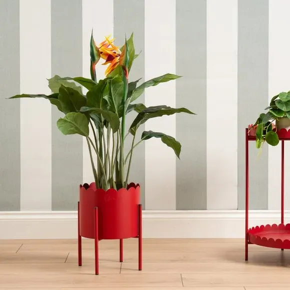Scalloped Plant Pot - Red, Metal