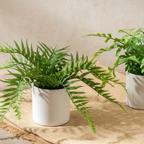 Set of 2 Artificial Ferns - Green, Ceramic