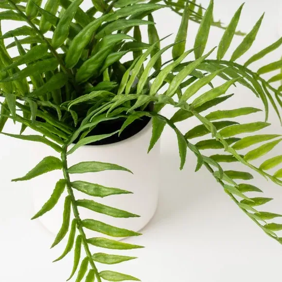 Set of 2 Artificial Ferns - Green, Ceramic