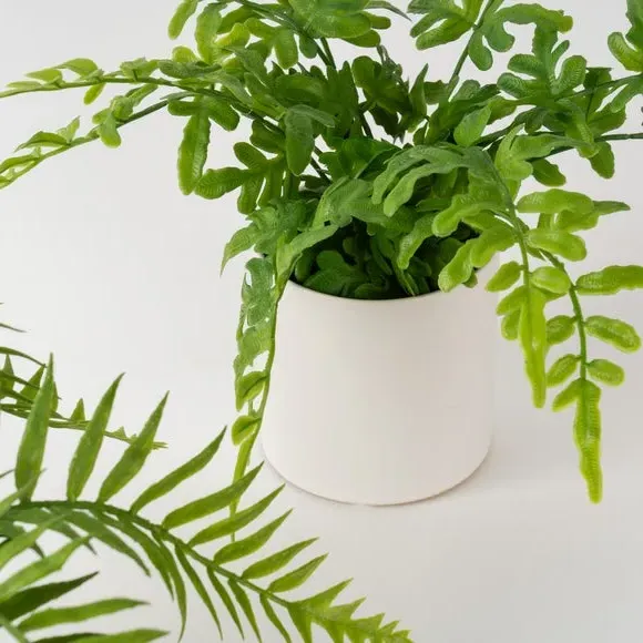 Set of 2 Artificial Ferns - Green, Ceramic