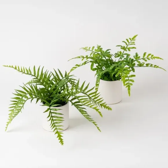 Set of 2 Artificial Ferns - Green, Ceramic