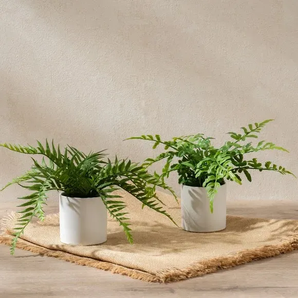 Set of 2 Artificial Ferns - Green, Ceramic image