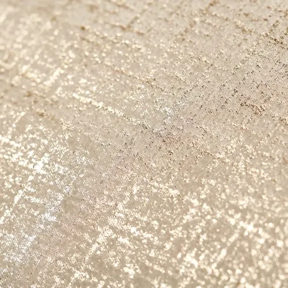 Set of 2 Metallic Print Placemats - Champagne