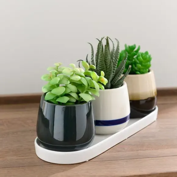 Set of 3 Artificial Succulents - Cream, Ceramic