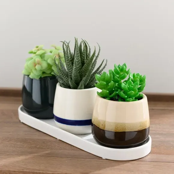 Set of 3 Artificial Succulents - Cream, Ceramic