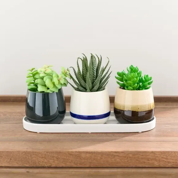 Set of 3 Artificial Succulents - Cream, Ceramic