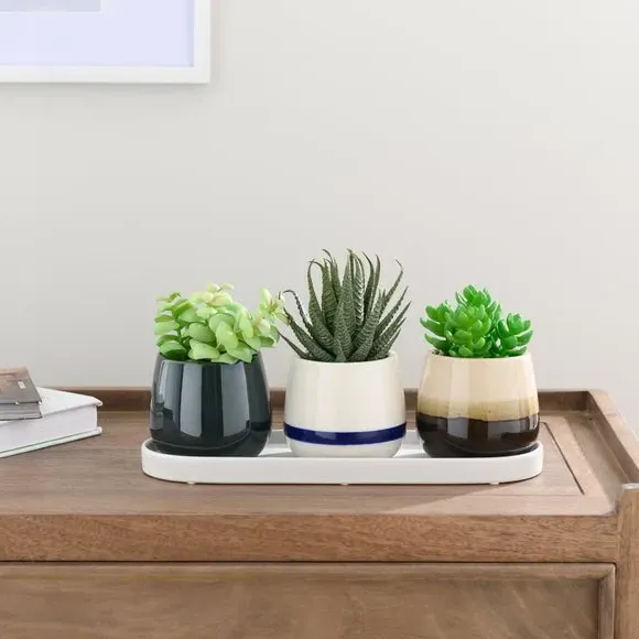 Set of 3 Artificial Succulents - Cream, Ceramic image