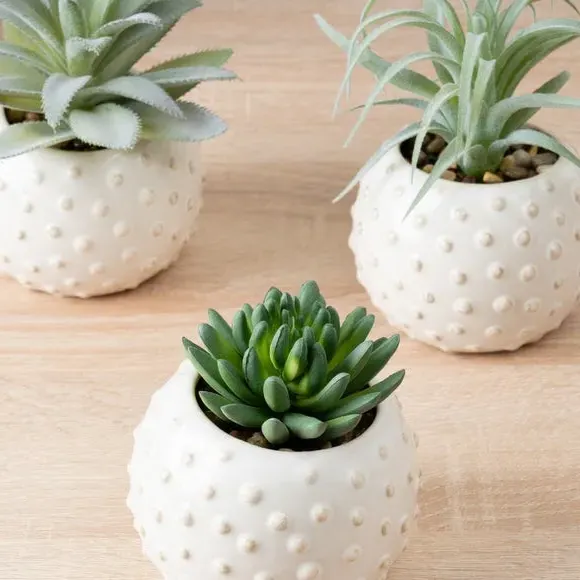 Set of 3 Artificial Succulents - Grey, Ceramic