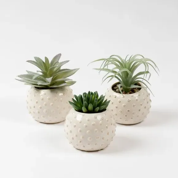 Set of 3 Artificial Succulents - Grey, Ceramic