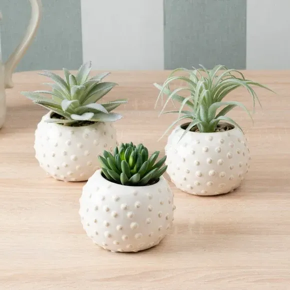 Set of 3 Artificial Succulents - Grey, Ceramic image