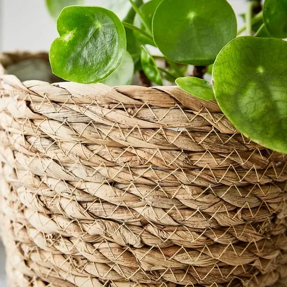 Set of 3 Woven Plant Pots - Natural, Woven