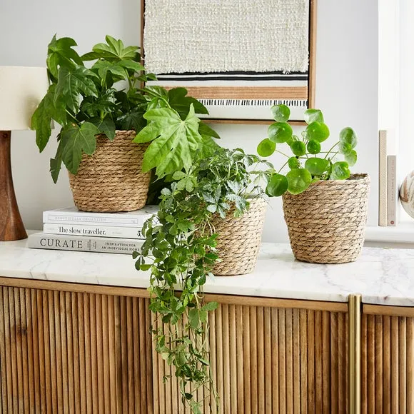 Set of 3 Woven Plant Pots - Natural, Woven