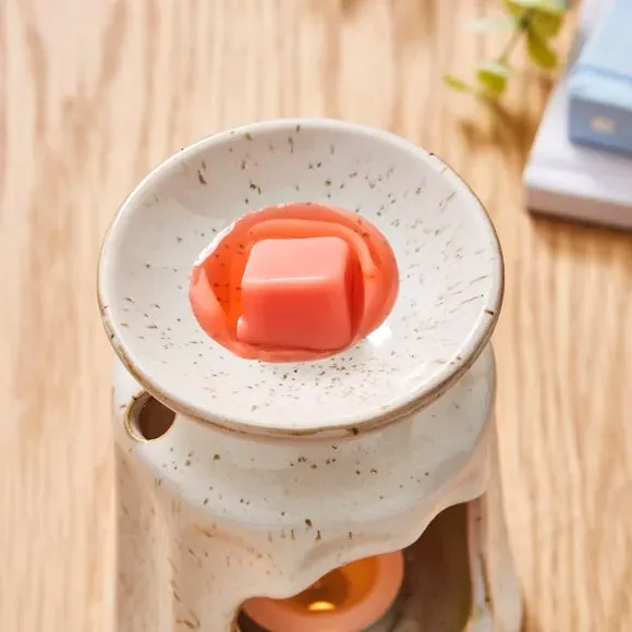 Set of 6 Wax Melts Fruity Scent - Pink