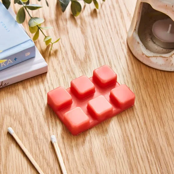 Set of 6 Wax Melts Fruity Scent - Pink image