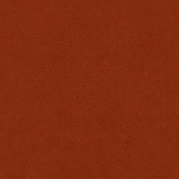 Shell Back Cocktail Chair - Orange, Velvet