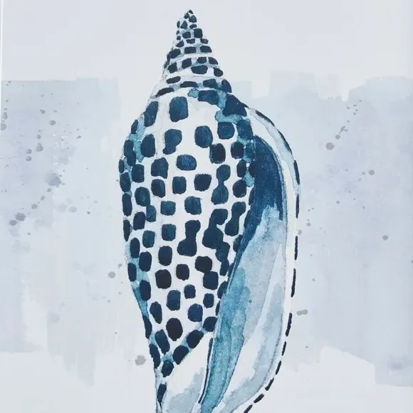 Shell Framed Print - White/Blue, Paper