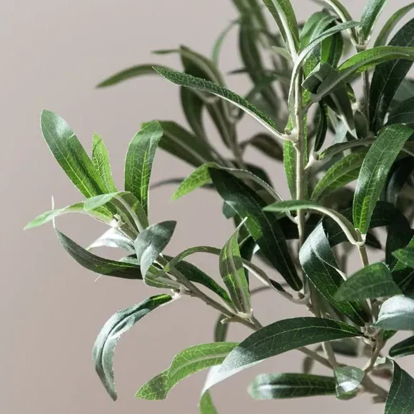Small Artificial Olive Tree - Green, Woven Pot