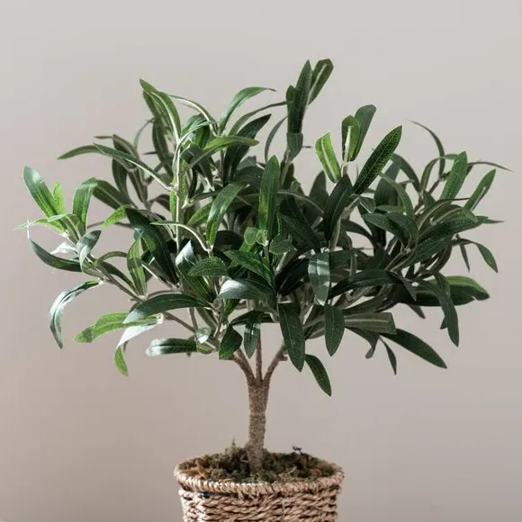 Small Artificial Olive Tree - Green, Woven Pot