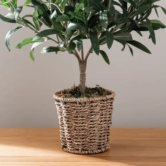 Small Artificial Olive Tree - Green, Woven Pot